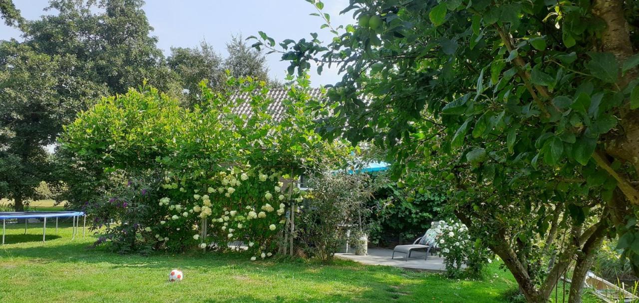 Huisje Beukers فيتهورن المظهر الخارجي الصورة