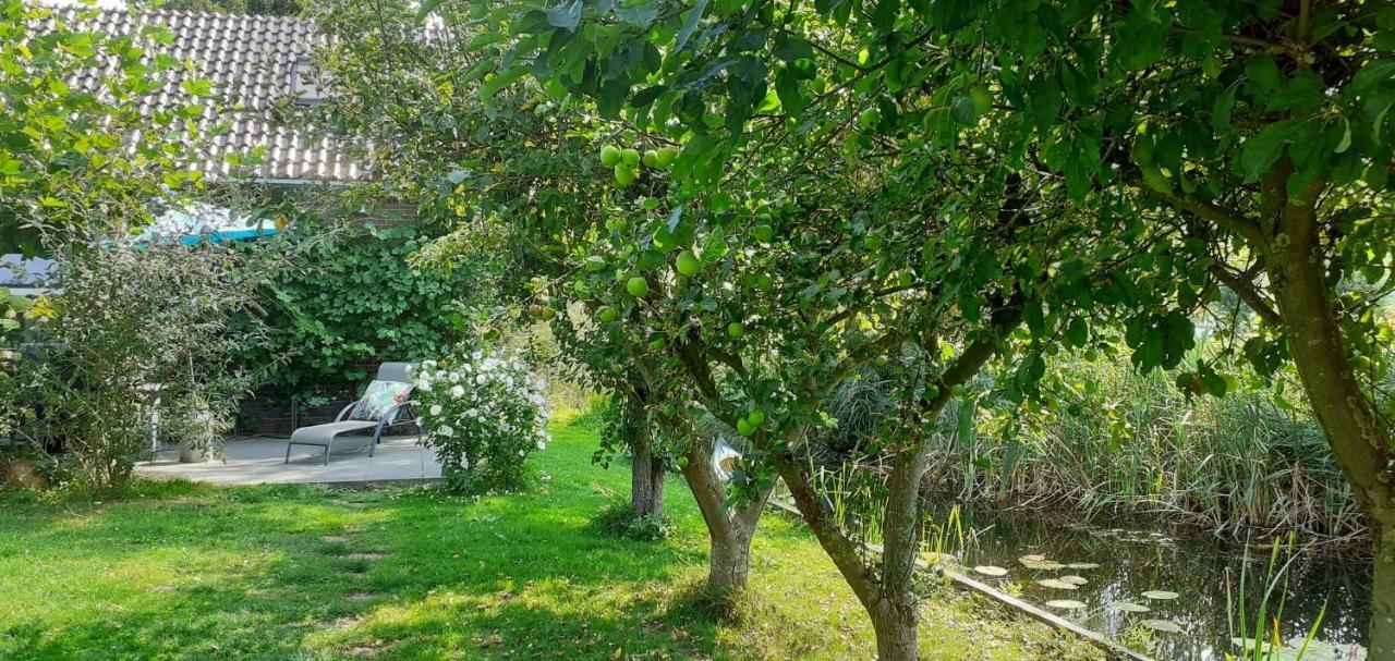 Huisje Beukers فيتهورن المظهر الخارجي الصورة